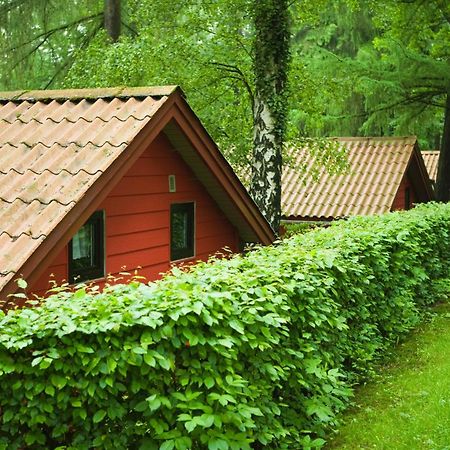Waldidylle - Bungalows An Der Talsperre Kriebstein Экстерьер фото