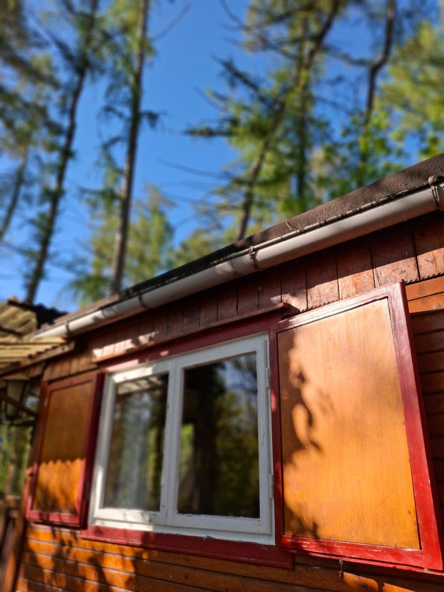 Waldidylle - Bungalows An Der Talsperre Kriebstein Экстерьер фото